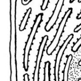 Keine Beschreibung für dieses Bild gefunden.