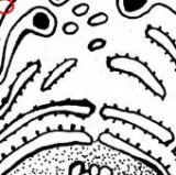 Keine Beschreibung für dieses Bild gefunden.