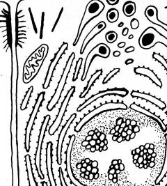 Keine Beschreibung für dieses Bild gefunden.