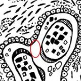 Keine Beschreibung für dieses Bild gefunden.