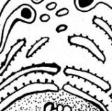 Keine Beschreibung für dieses Bild gefunden.