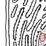 Keine Beschreibung für dieses Bild gefunden.