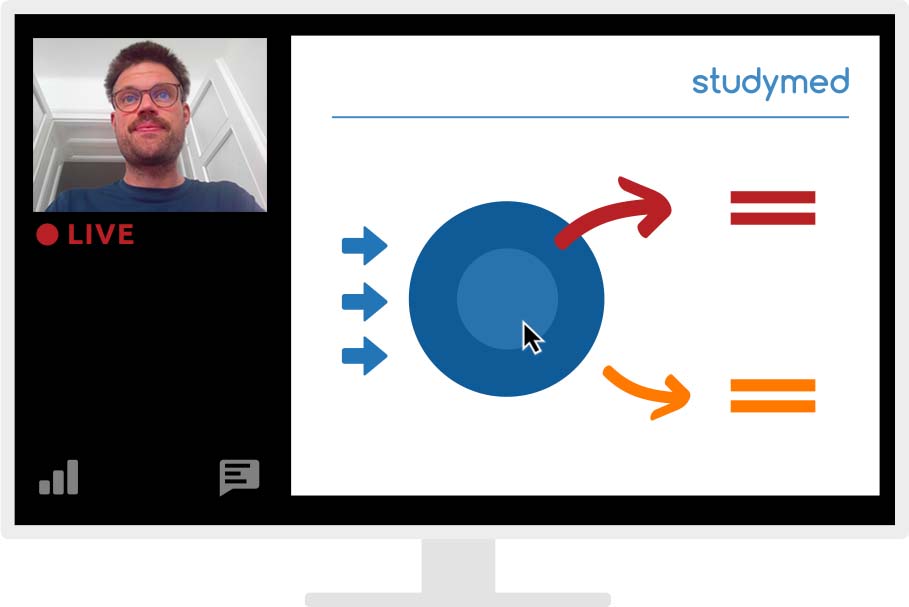 Einer unserer studymed-Trainer beim Vortrag des online MedAT Vorbereitungskurs